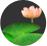  Ǯ̿